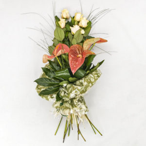 Rose, Anturium