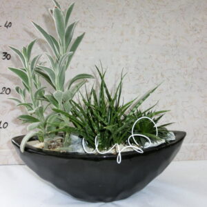 Composizione su vaso in ceramica nero