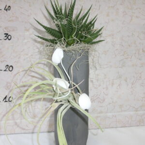 Cubo antracite con aloe