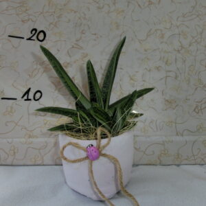 Piccolo cubetto con grassa