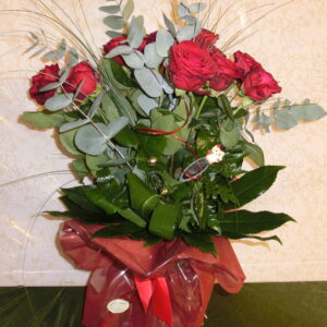 Rose rosse per laurea