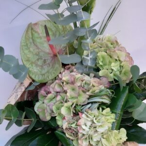 Ortensie e anturium