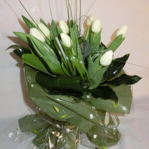 Tulipani bianchi