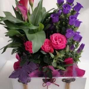 Fuxia in viola