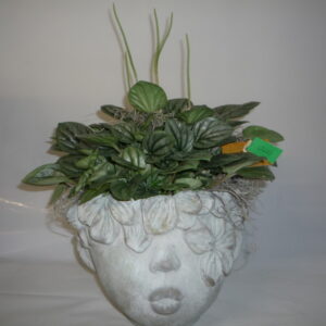 TESTINA CON PEPEROMIA