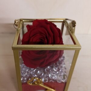 Rosa cubo prezioso