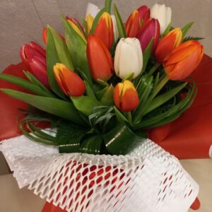 Mix di tulipani