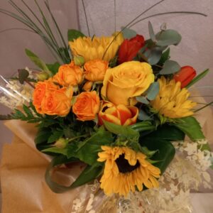 Girasole in compagnia