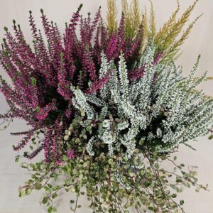 Tris di calluna con muehlenbeckia
