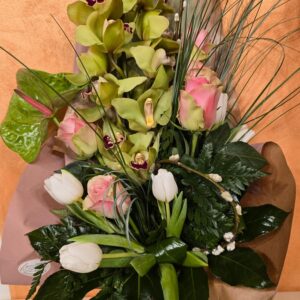 Cymbidium