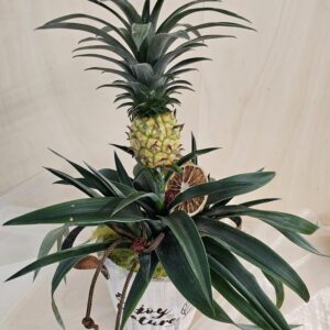 Ananas