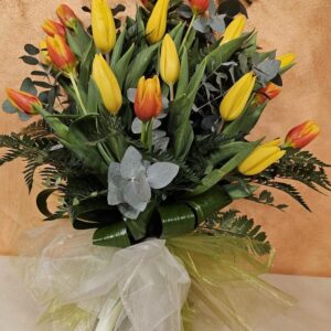Tulipani