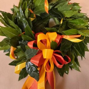 Coroncina di laurea