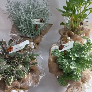 AROMATICA IN BOMBONIERA